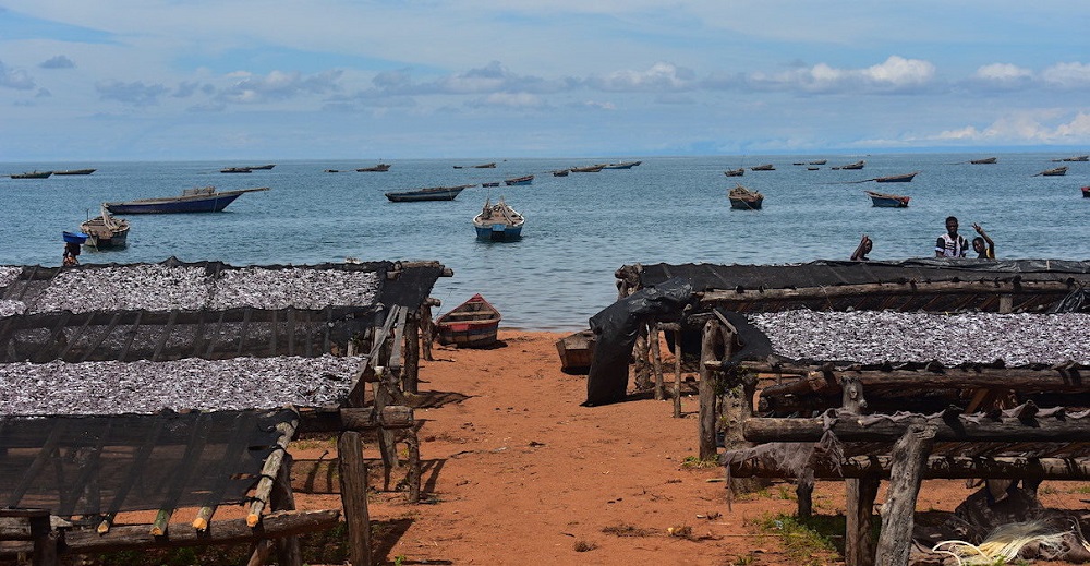 La suspension de la pêche dans le Lac Tanganyika