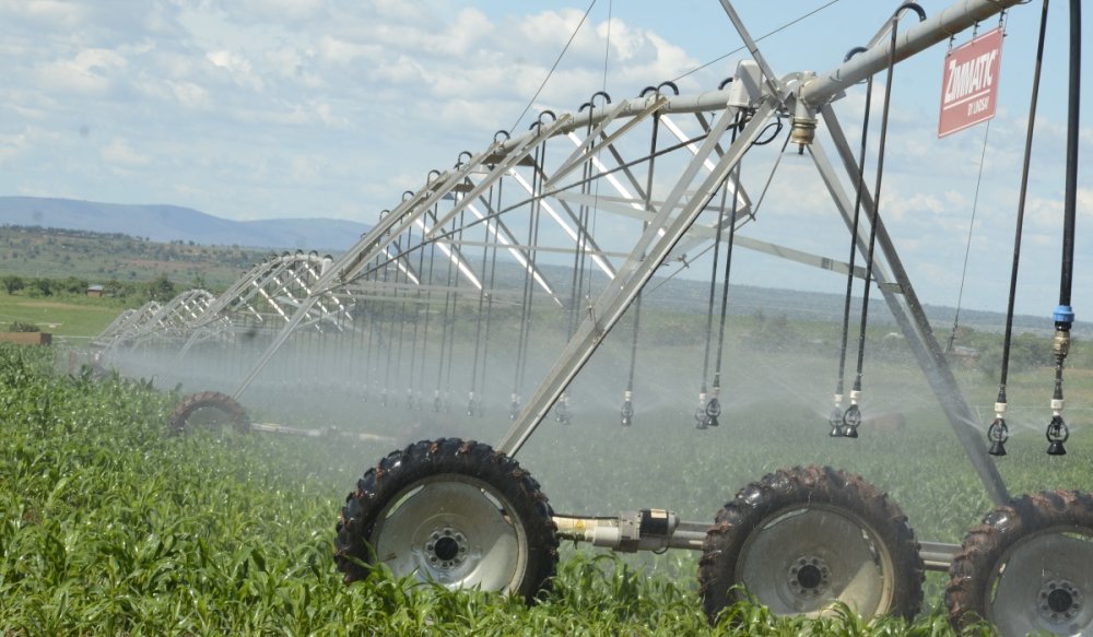 Les agripreneurs rwandais invités à postuler pour des subventions allant jusquà 100 000 €