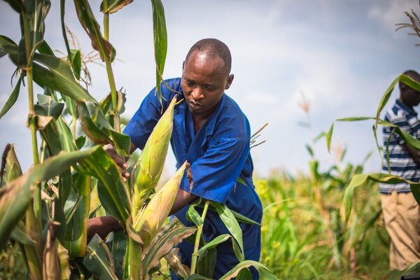 Rendements record des agriculteurs en 2024 grâce à linnovation et à la durabilité