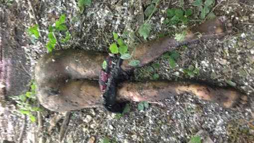 Panique pour une noyée nue qui n’était qu’une poupée gonflable
