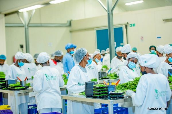 Le Rwanda enregistre plus de 10 millions de dollars d’exportations en cinq jours