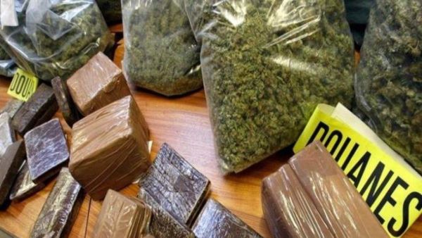 Bénin : Une tonne de chanvre indien interceptée à l’ouest