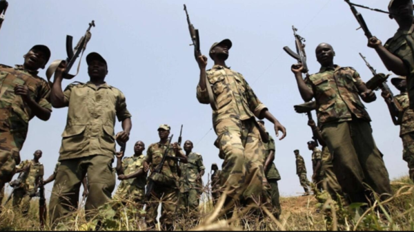 RDC : six combattants FDLR tués dans des affrontements avec les Wazalendo
