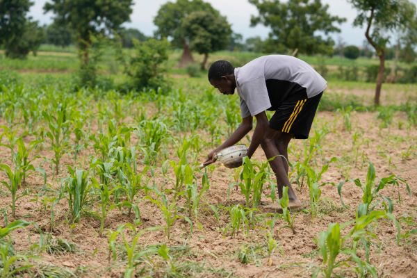Journée mondiale de l’alimentation 2025 : les agences de l’ONU basées à Rome s’engagent pour la transformation agroalimentaire au Rwanda