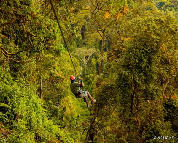 Le Parc national de Nyungwe enregistre 7 638 visiteurs au premier trimestre 2026 et génère environ 1 milliard de FRW