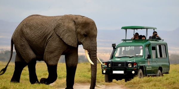 Le Parc national de l’Akagera affiche une croissance de 8 % du nombre de visiteurs en 2025