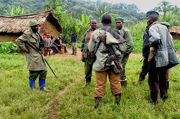 Les FDLR ou une épine dans le pied de la sécurité régionale