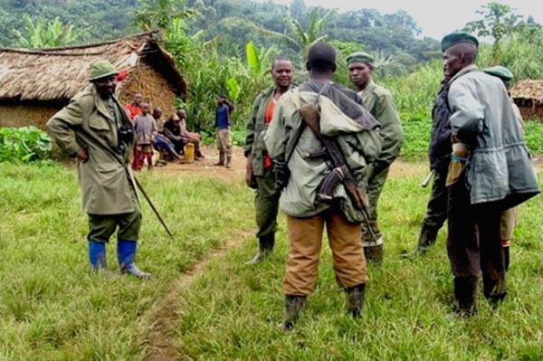 Les réseaux de l’ombre des FDLR