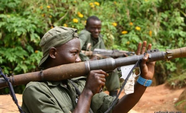 Les FDLR : maitres de la terreur en RDC