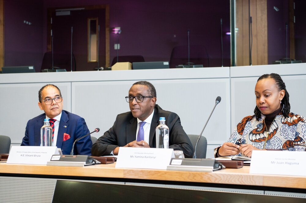 Biruta et lUE en dialogue sur la crise dans lEst de la RDC