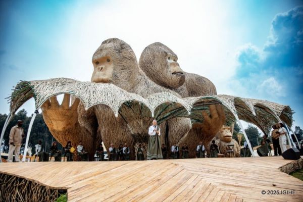 'Kwita Izina à 20 ans : faste et couleurs alors que le Rwanda célèbre 438 bébés gorilles nommés depuis
