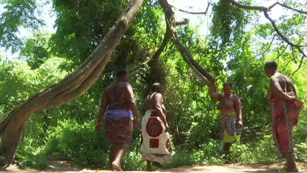 Bénin : les forêts sacrées, un patrimoine en danger