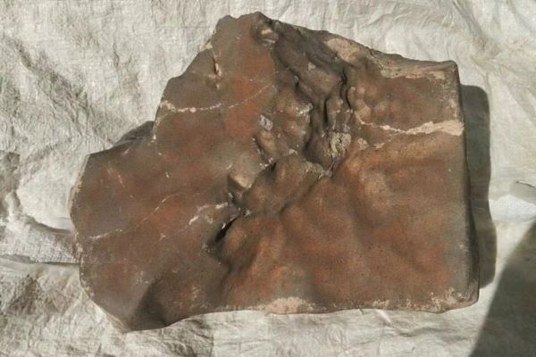 La plus grosse météorite provenant de Mars vendue 5,3 millions de dollars