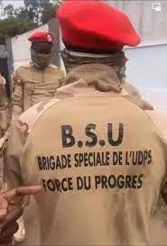 L’UDPS et Felix Tshisekedi à l'épreuve de la démocratie