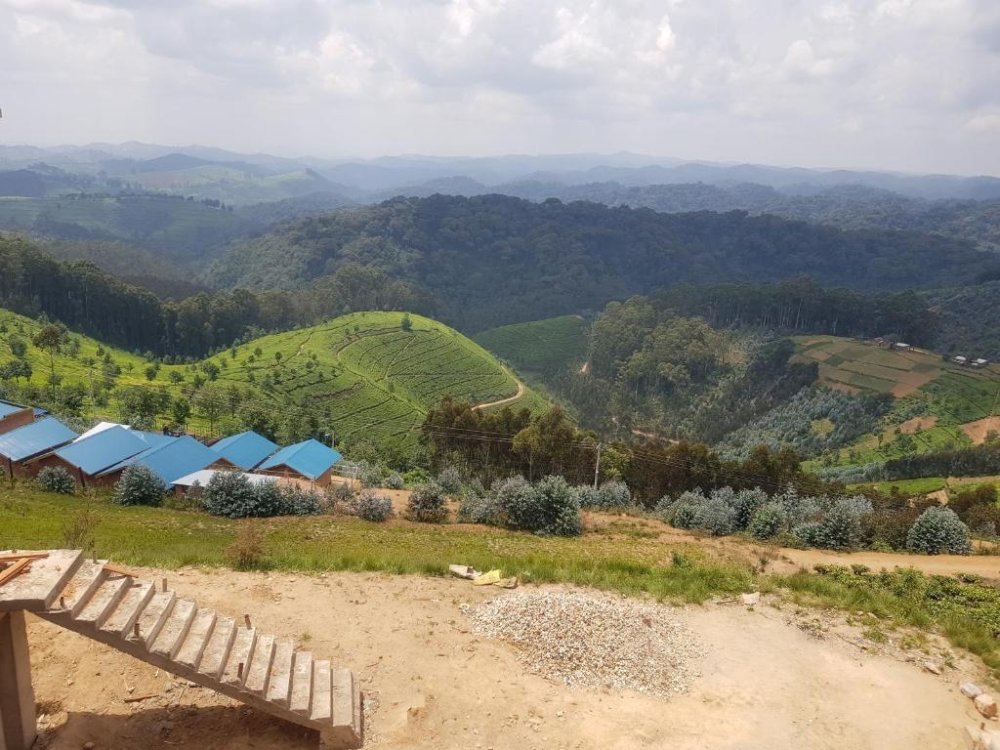 23 000 familles près de Nyungwe, vers une cohabitation améliorée