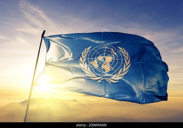 L’agenda politique du groupe des experts des Nations Unies pour la RDC