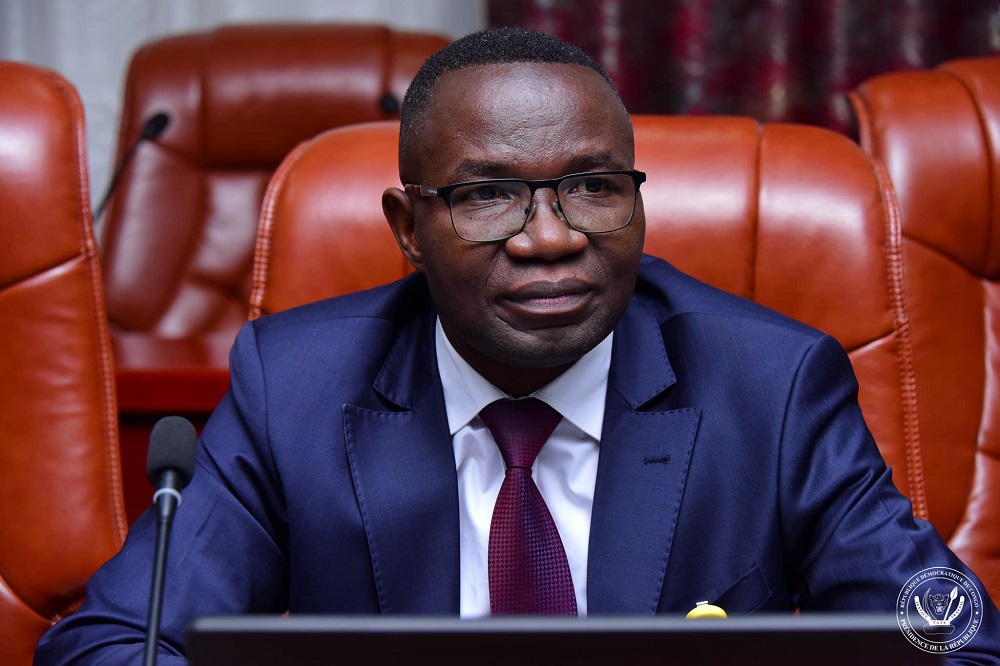 Washington : Un ministre congolais qualifie les sinistres rebelles FDLR de vieillards inoffensifs de 70 ans