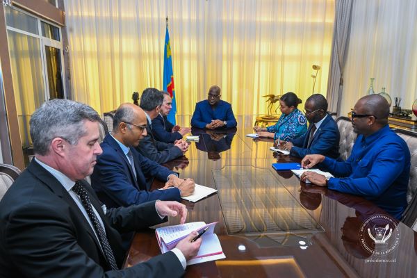 RDC : Kinshasa exhortée de nouveau à démanteler les FDLR
