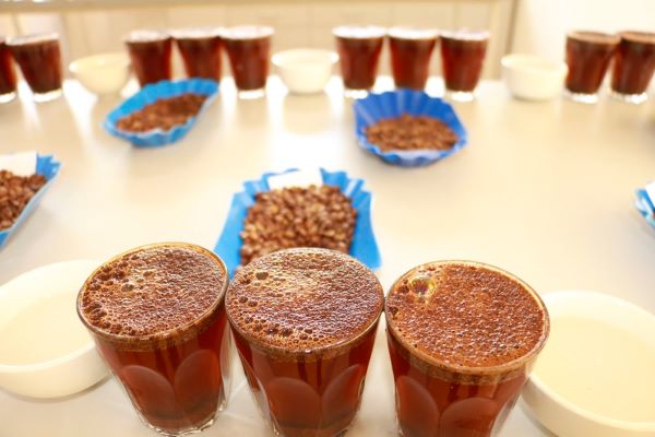 Le café rwandais parmi les cinq meilleurs au “World of Coffee San Diego”