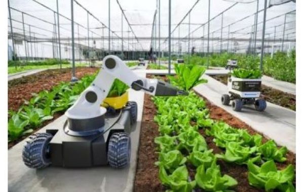Le Rwanda mise sur l’intelligence artificielle pour booster l’agriculture, l’éducation et la santé