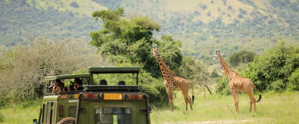 Le tourisme international rapporte 579,5 millions de dollars au Rwanda en 2024