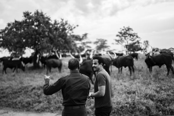 La vache Inyambo ou symbole d’amitié et diplomatie culturelle au cœur des relations Rwanda-Qatar