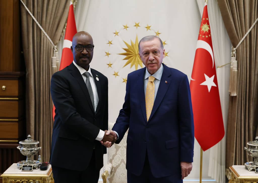 Charles Kayonga remet ses lettres de créance au Président turc Erdogan