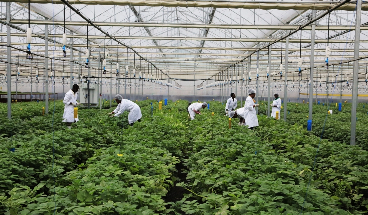 Agriculture : des modèles commerciaux modernes pour une meilleure durabilité